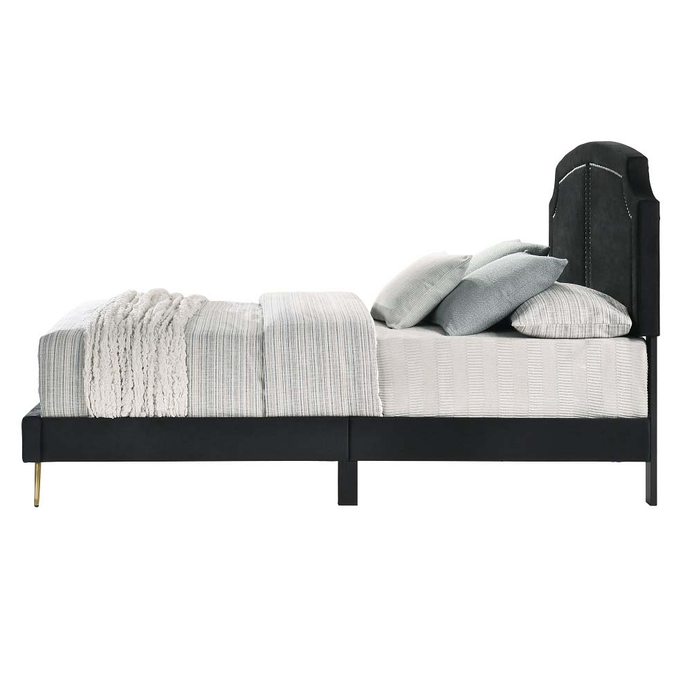 ACME Zeena Full Bed - Black Velvet