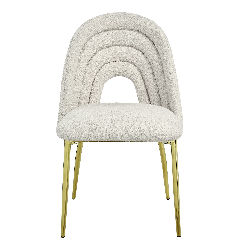 ACME - Fadri Side Chair (Set of 2) in Teddy Sherpa/Mirrored Gold