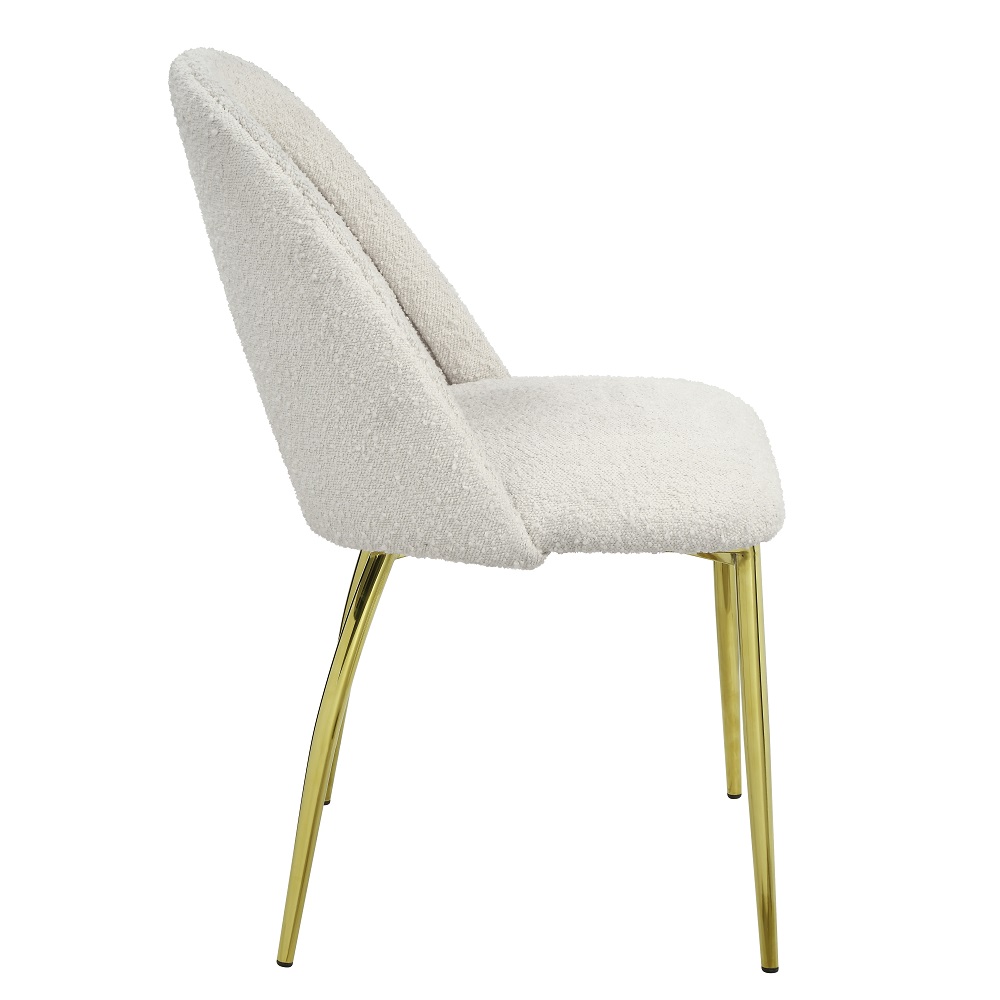 ACME - Fadri Side Chair (Set of 2) in Teddy Sherpa/Mirrored Gold