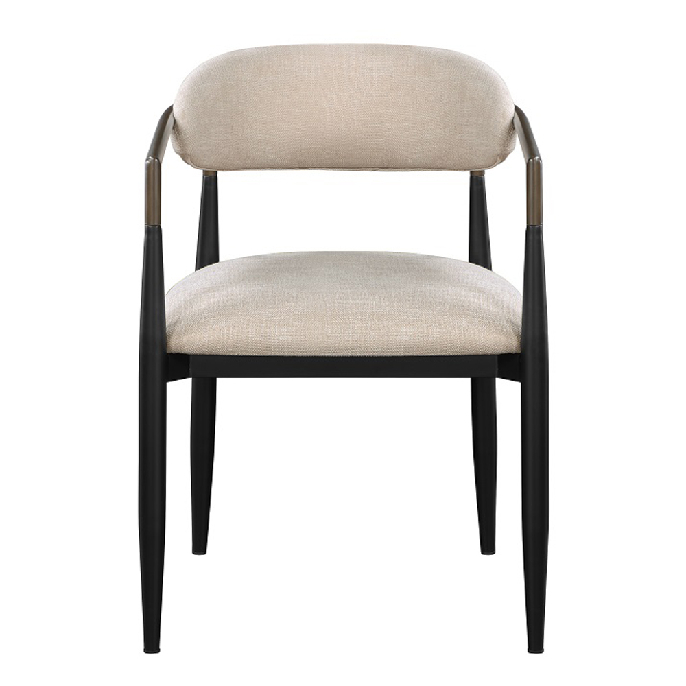 ACME - Jaramillo Side Chair (Set of 2)