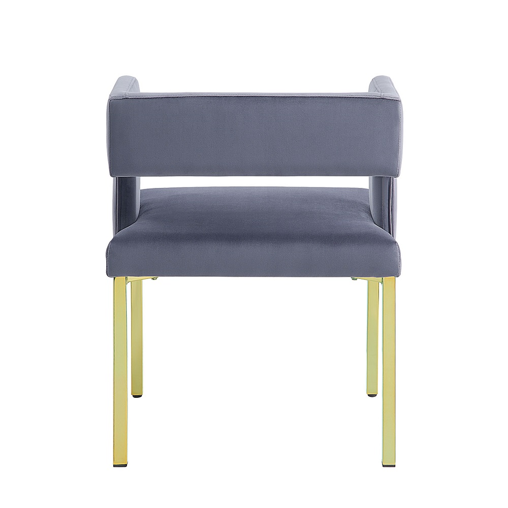 ACME - Zarriah Side Chair (Set of 2) in Gray Velvet/Mirrored Gold