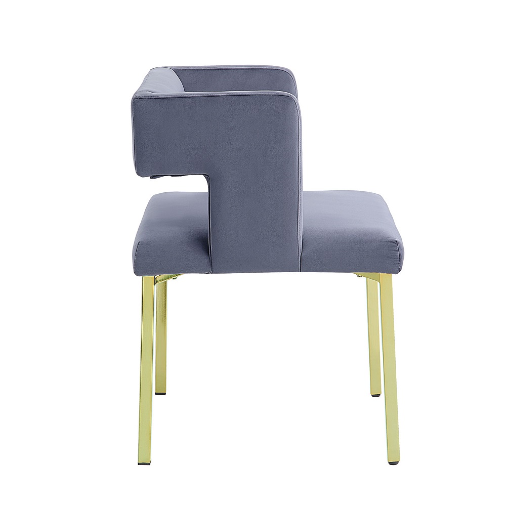 ACME - Zarriah Side Chair (Set of 2) in Gray Velvet/Mirrored Gold