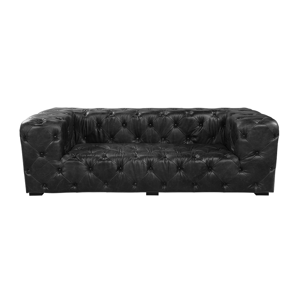 ACME Brancaster Sofa - Black/Aluminum