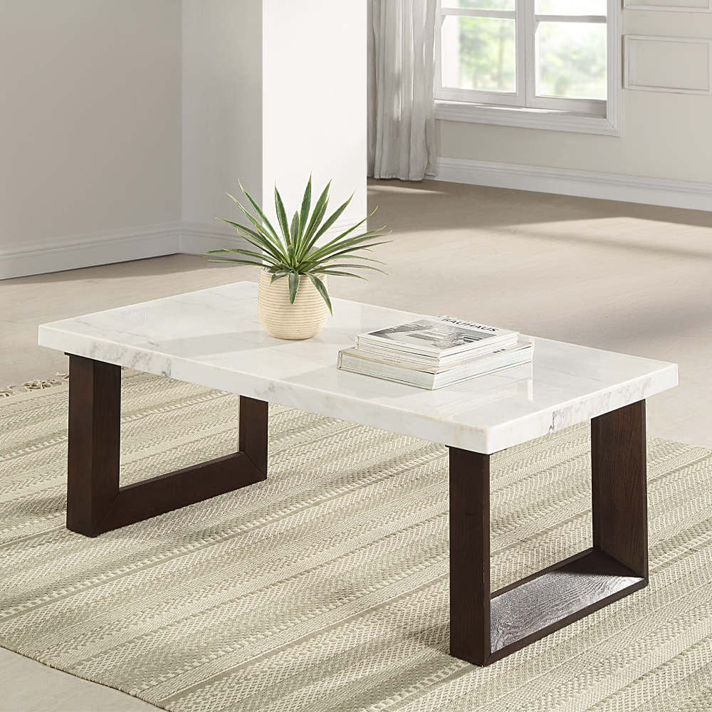 ACME - Edwyn Coffee Table with Marble Top in White Natural Marble Top/Brown