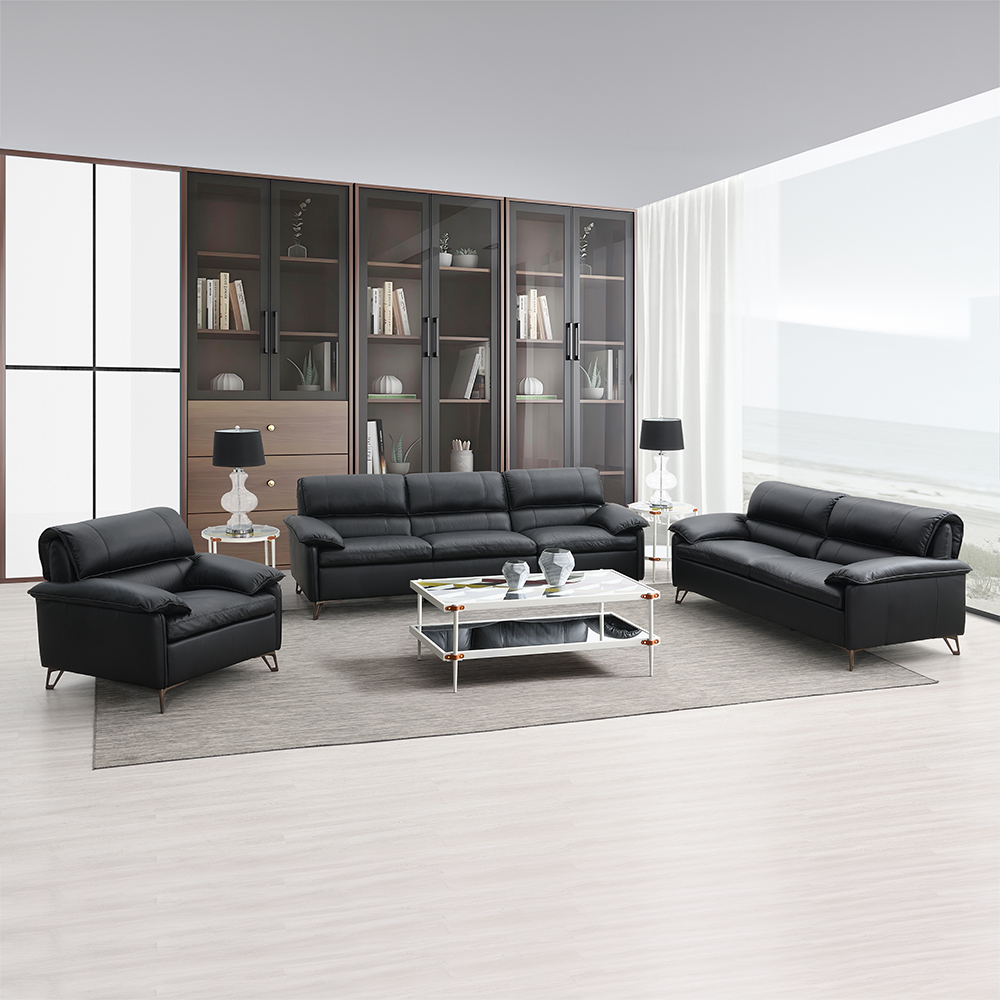 ACME - Eilene Sofa in Black