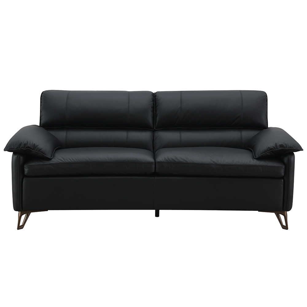 ACME - Eilene Loveseat in Black