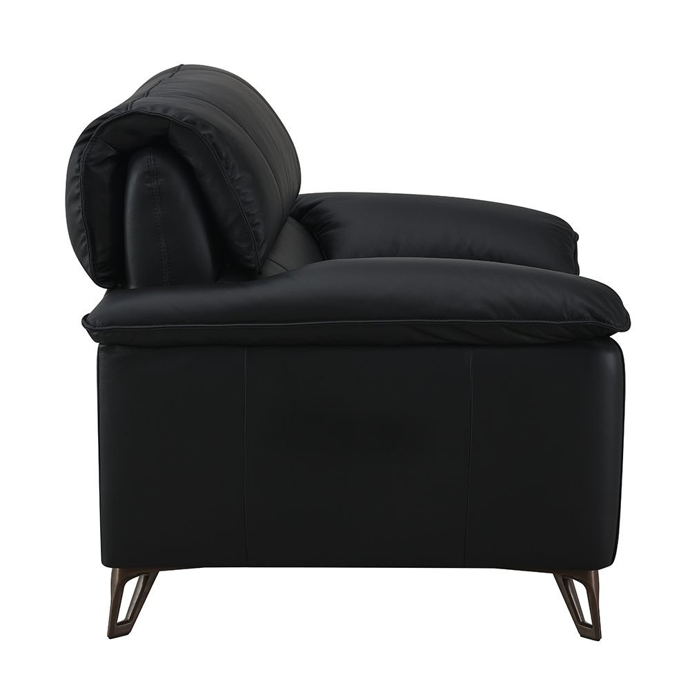 ACME - Eilene Loveseat in Black