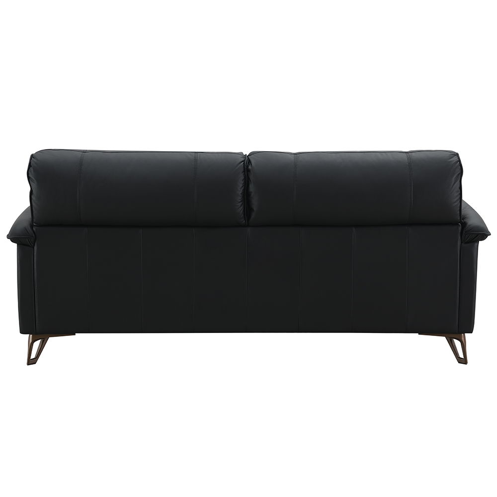 ACME - Eilene Loveseat in Black