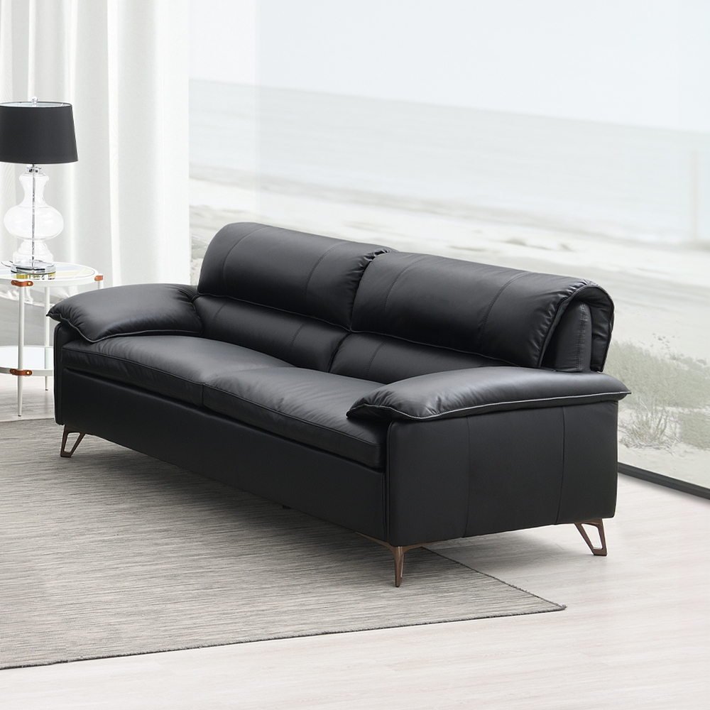 ACME - Eilene Loveseat in Black