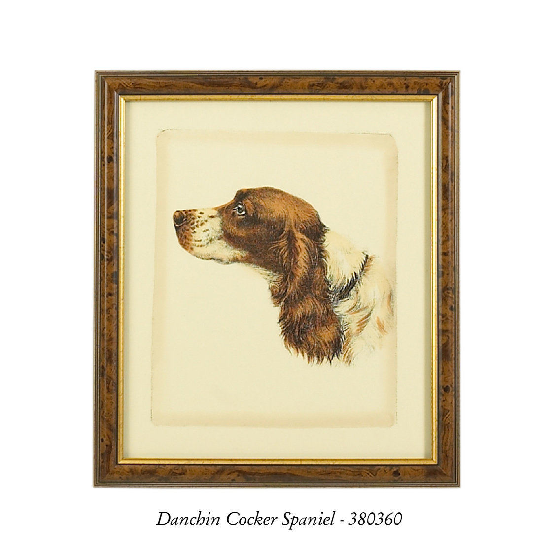 Chelsea House - Danchin Brittany Spaniel in Brown/Gold Frame