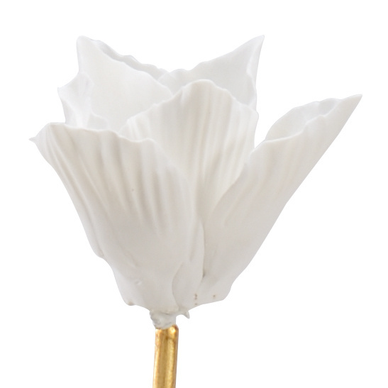 Chelsea House Tulip Stem - White, Large