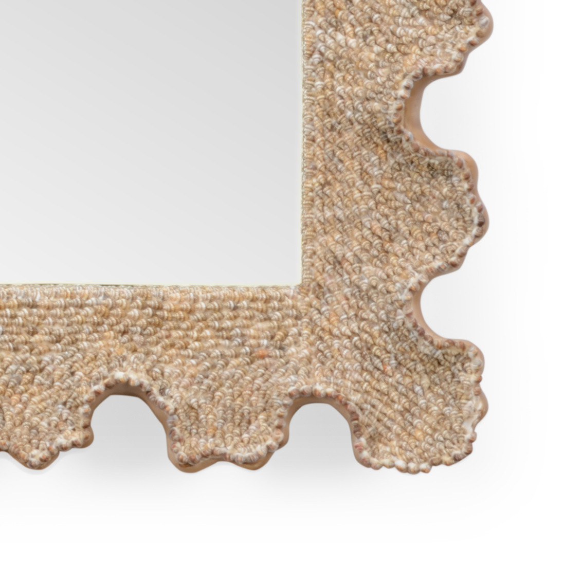 Chelsea House - Scalloped Shell Mirror in Natural Nassa/Clear