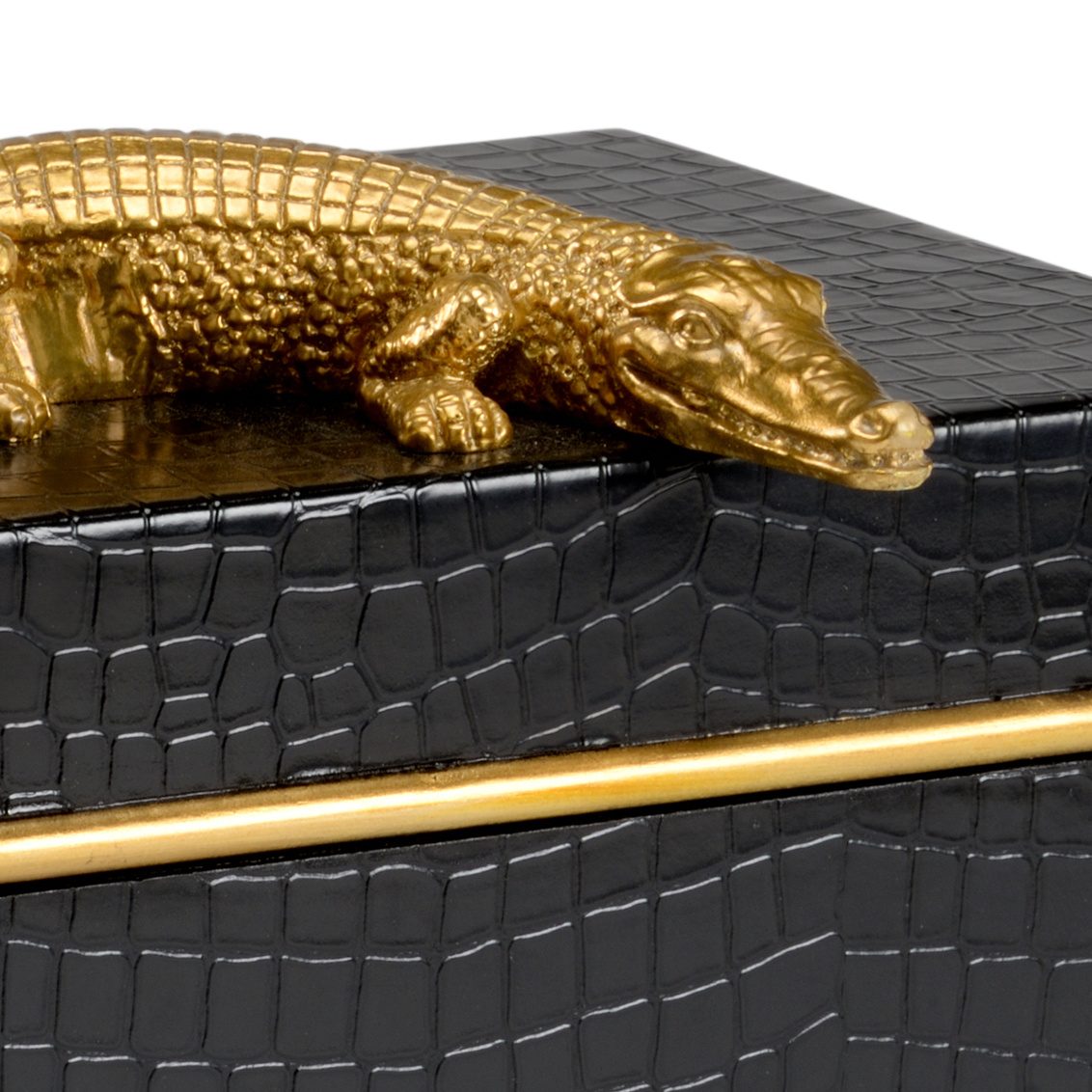 Chelsea House - Alligator Box in Black, Wood