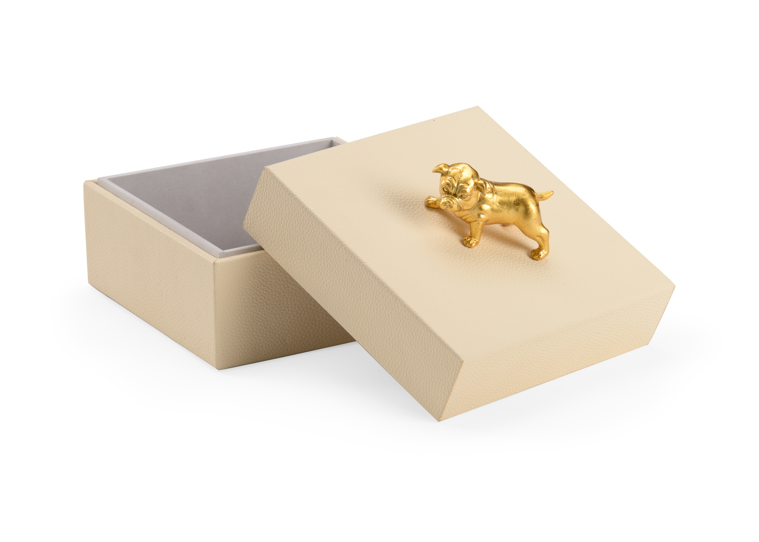 Chelsea House - Dog Handle Box in Cream