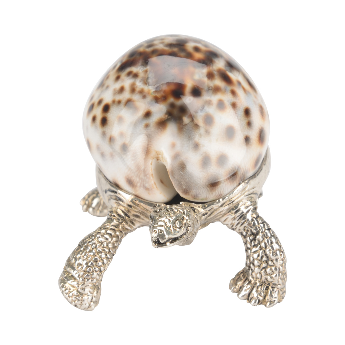 Chelsea House - Turtle Paperweight in Silver Plated/Tiger Cowrie