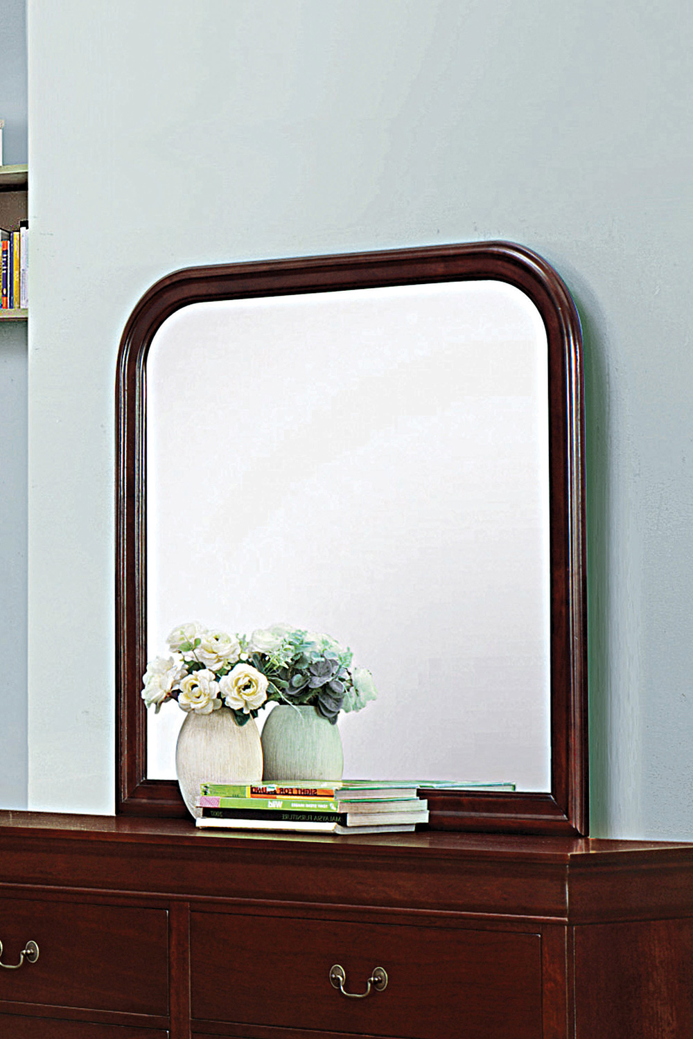 Coaster - Santee Louis Philippe Rectangle Dresser Mirror in Red Brown