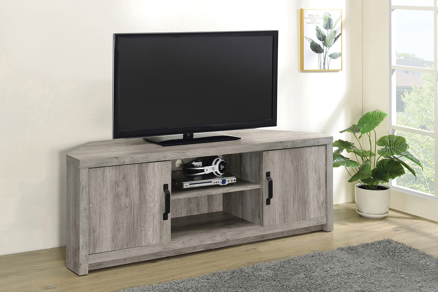 Coaster - 2-Door TV Console With Adjustable Shelf in Gray Driftwood