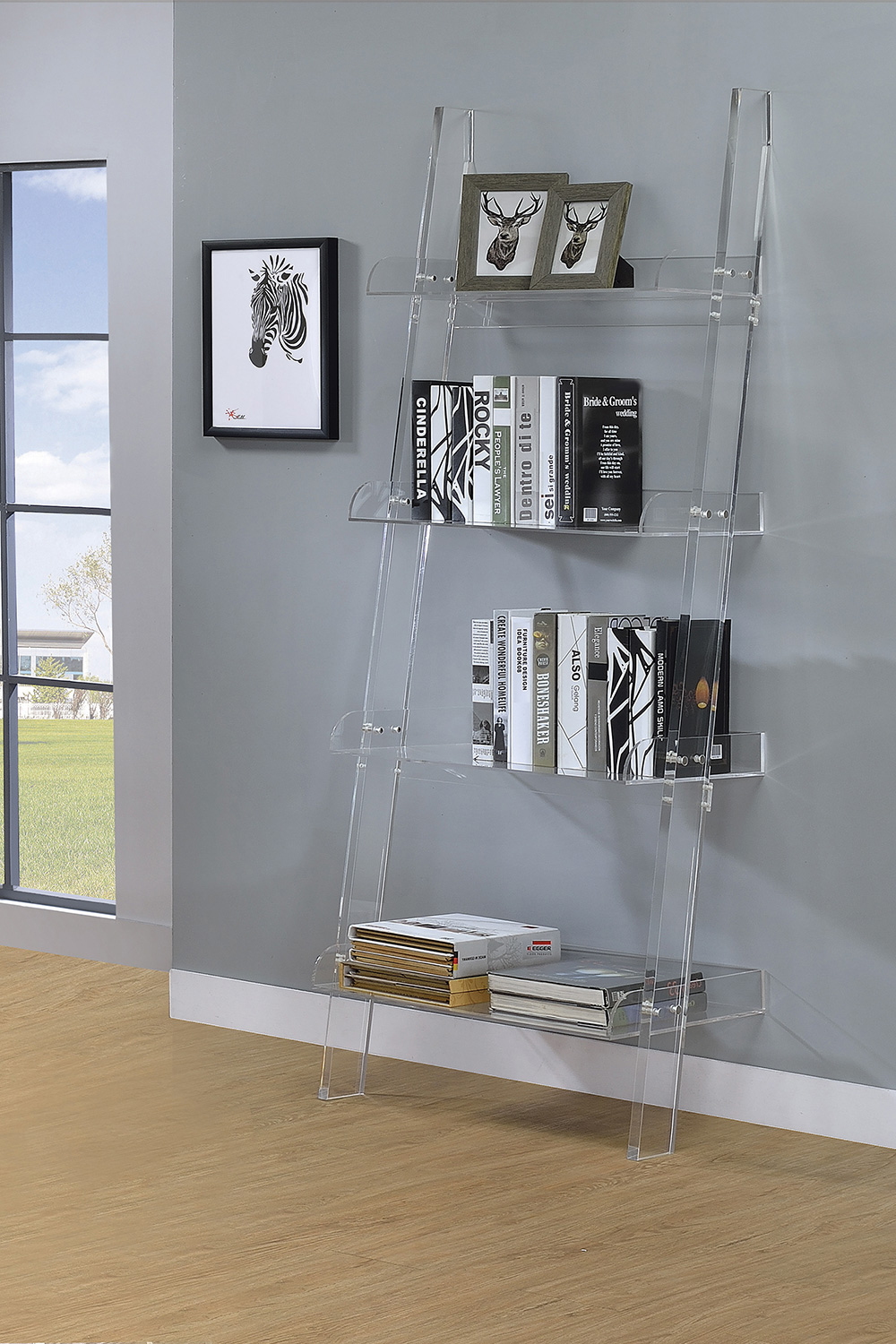 Coaster - Amaturo 4-Shelf Ladder Bookcase in Clear