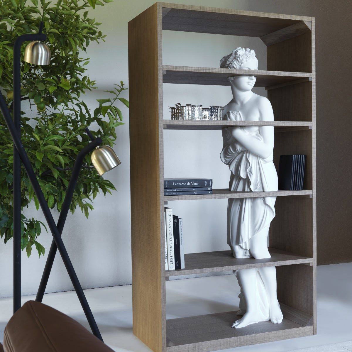 Driade - Venus Bookcase in White/Natural