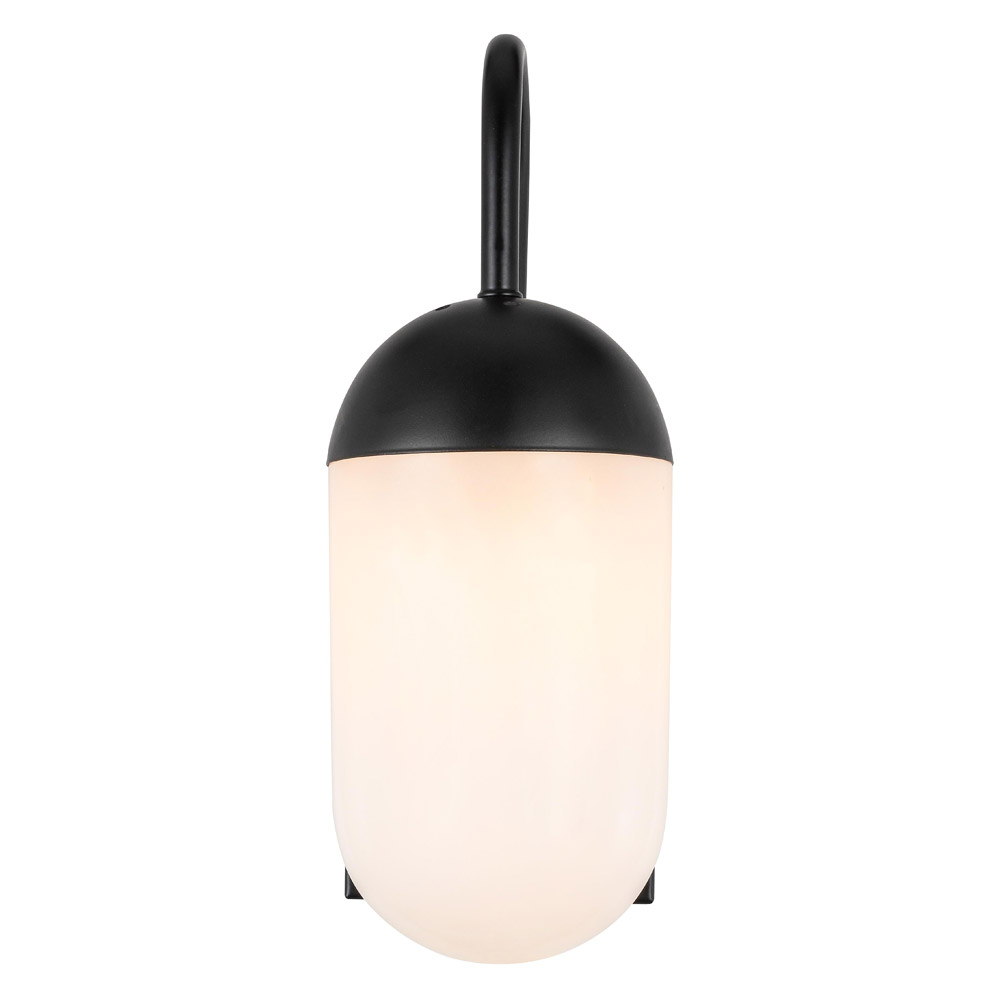 Elegant Wall Sconce - Black/Matte Glass (LD6169BK)