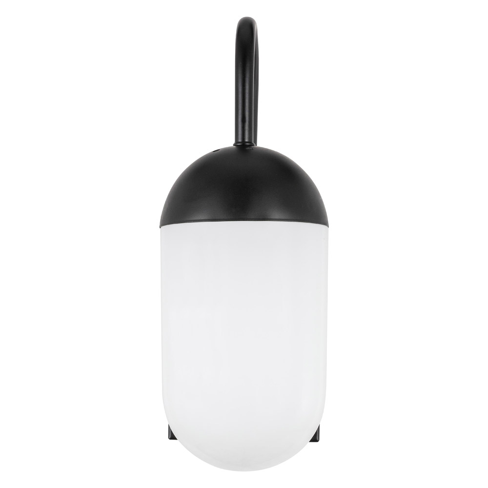 Elegant Wall Sconce - Black/Matte Glass (LD6169BK)