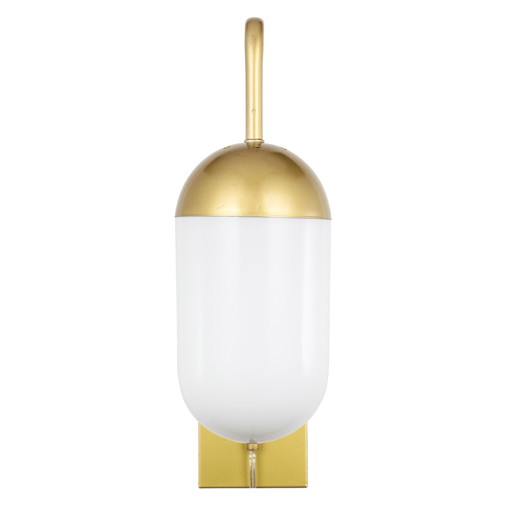 Elegant Wall Sconce - Brass/Matte Glass (LD6179BR)