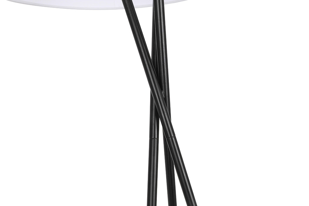 Elegant LED Floor Lamp - Black (LD6189BK)