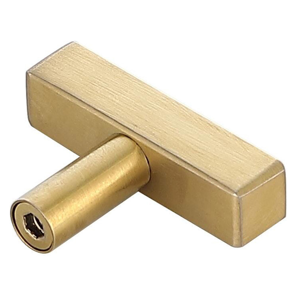 Elegant Quinn 1 Drawer Pull, Set of 10 - Brass (PL402-1-BR-10PK)