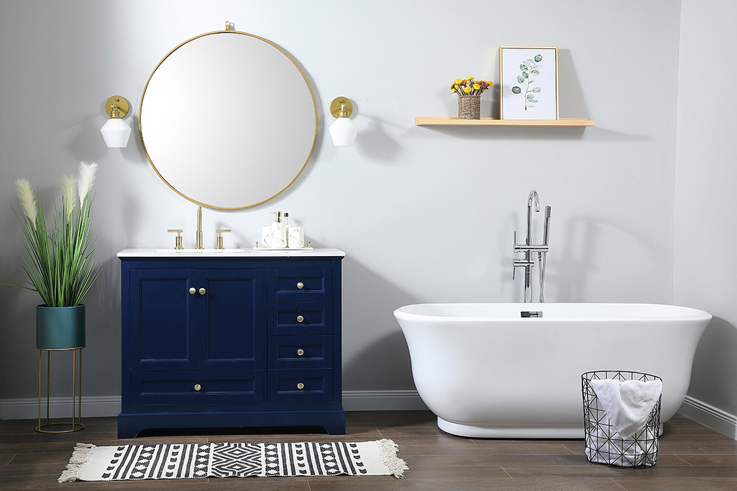 Elegant Bathroom Vanity - Blue (VF15542BL-BS)