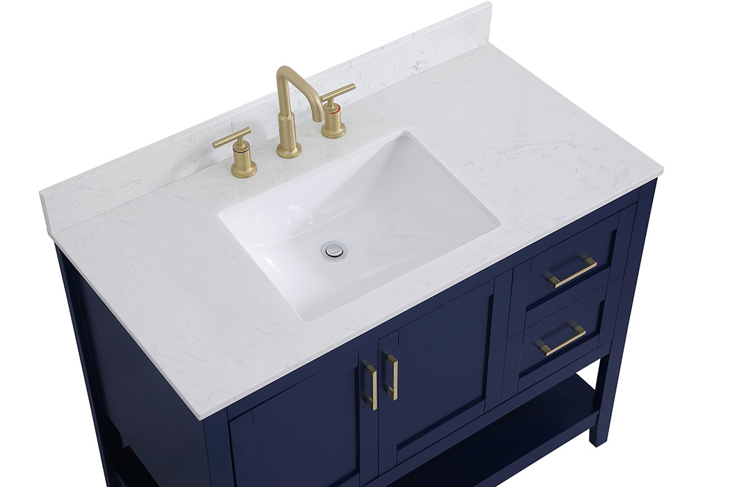 Elegant Bathroom Vanity - Blue (VF16042BL-BS)