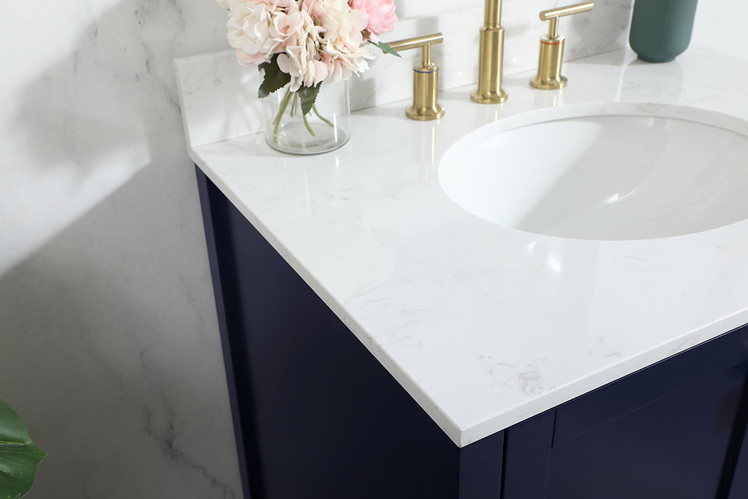 Elegant Bathroom Vanity - Blue (VF18830BL-BS)