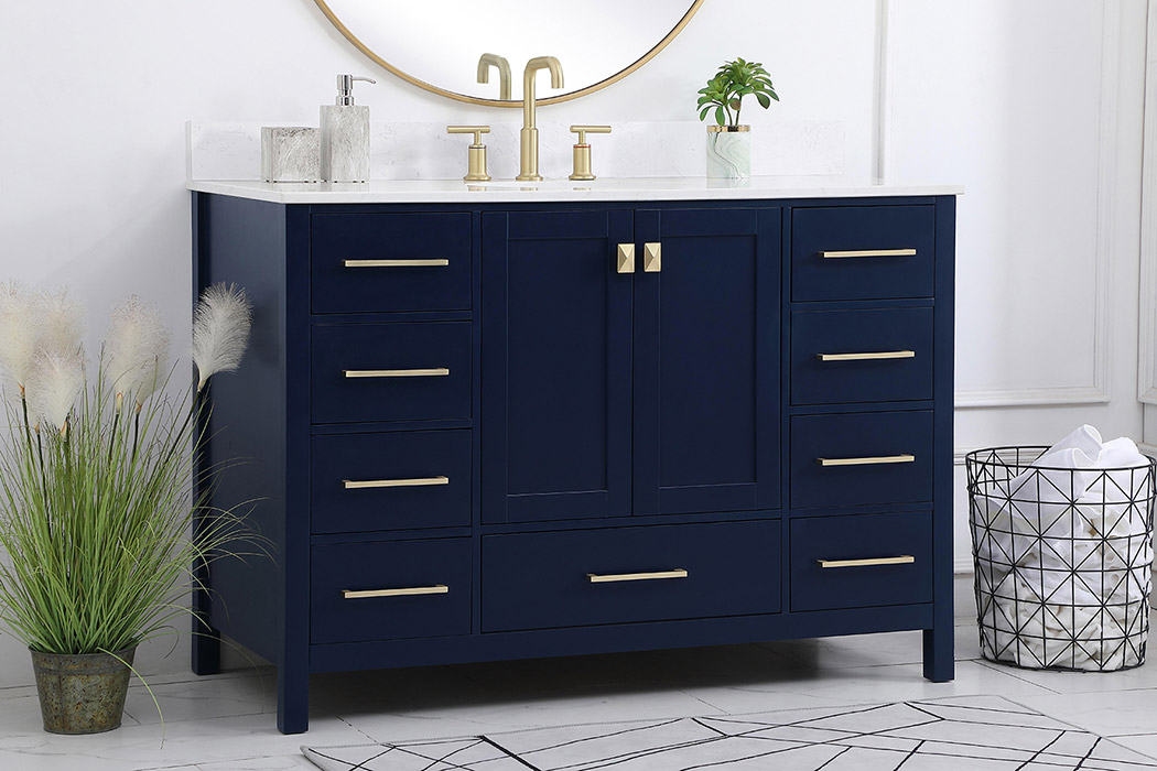 Elegant Bathroom Vanity - Blue (VF18848BL-BS)