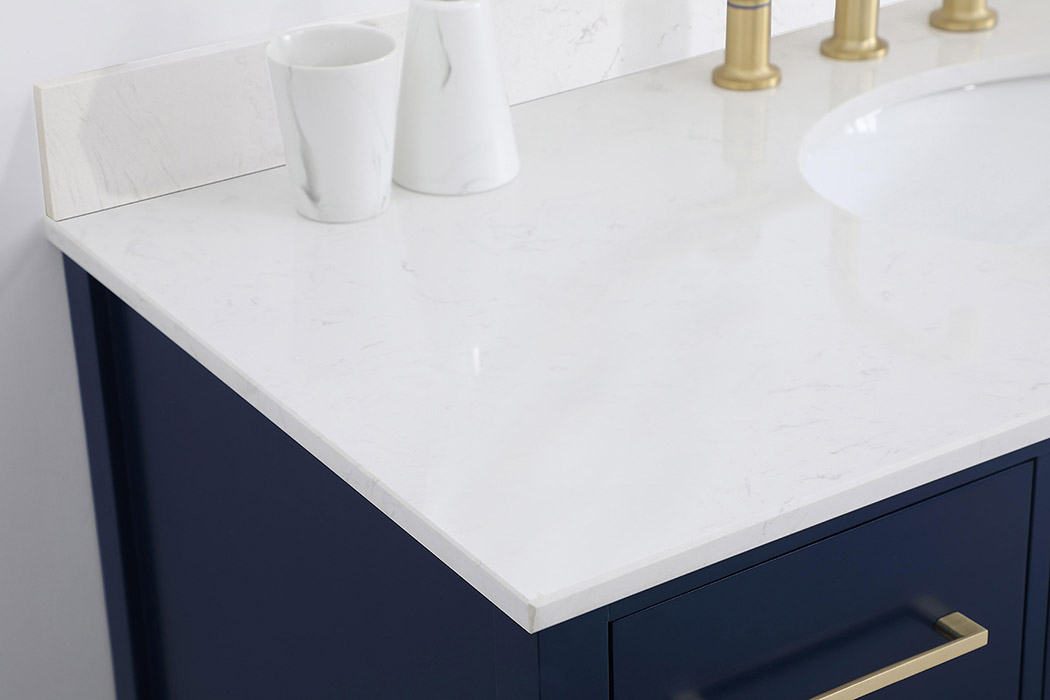 Elegant Bathroom Vanity - Blue (VF18848BL-BS)