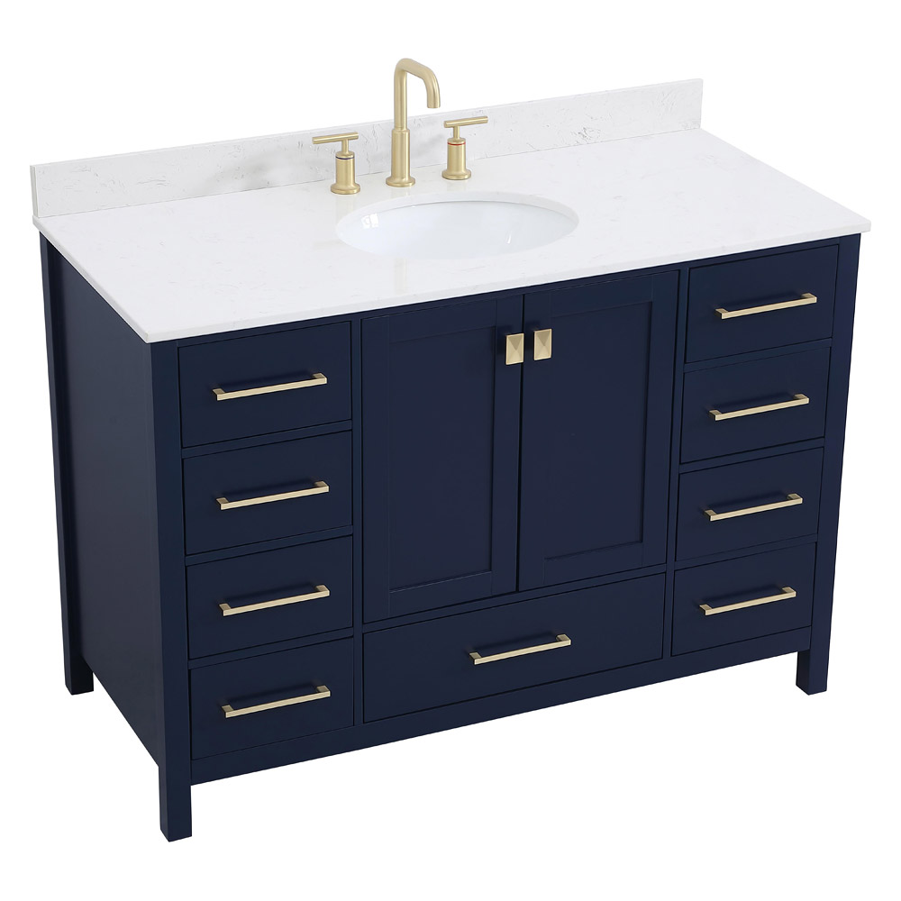 Elegant Bathroom Vanity - Blue (VF18848BL-BS)