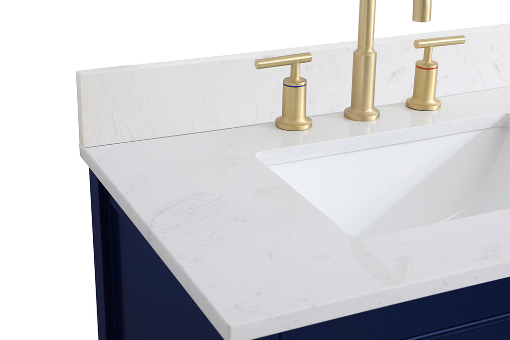 Elegant Bathroom Vanity - Blue (VF19030BL-BS)