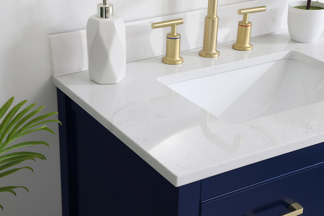 Elegant Bathroom Vanity - Blue (VF19030BL-BS)