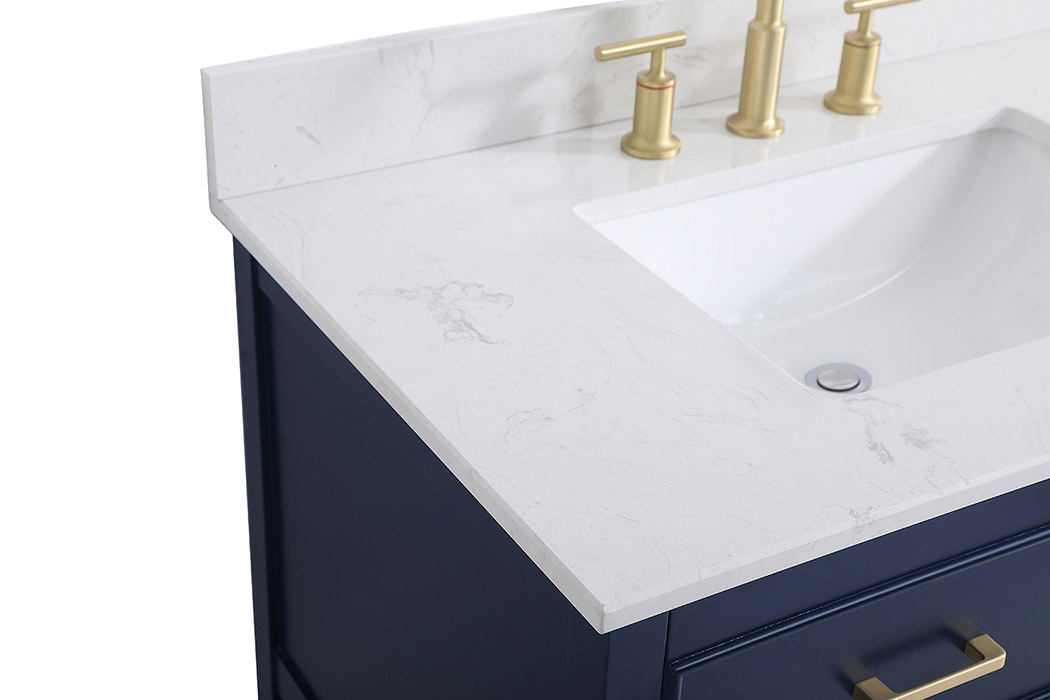 Elegant Bathroom Vanity - Blue (VF19036BL-BS)