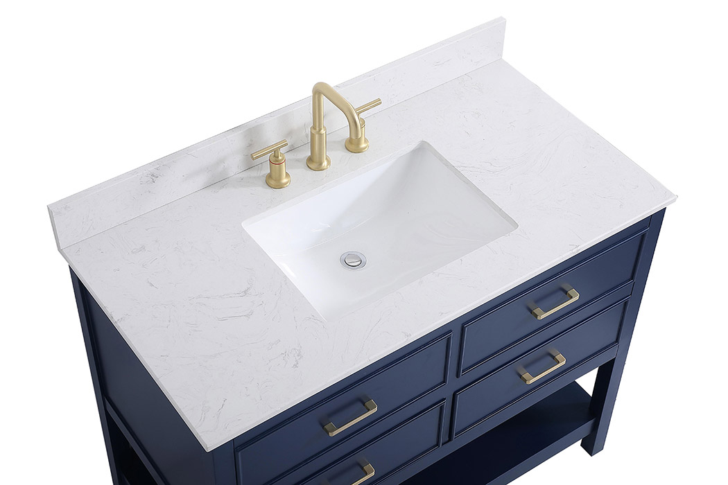 Elegant Bathroom Vanity - Blue (VF19042BL-BS)