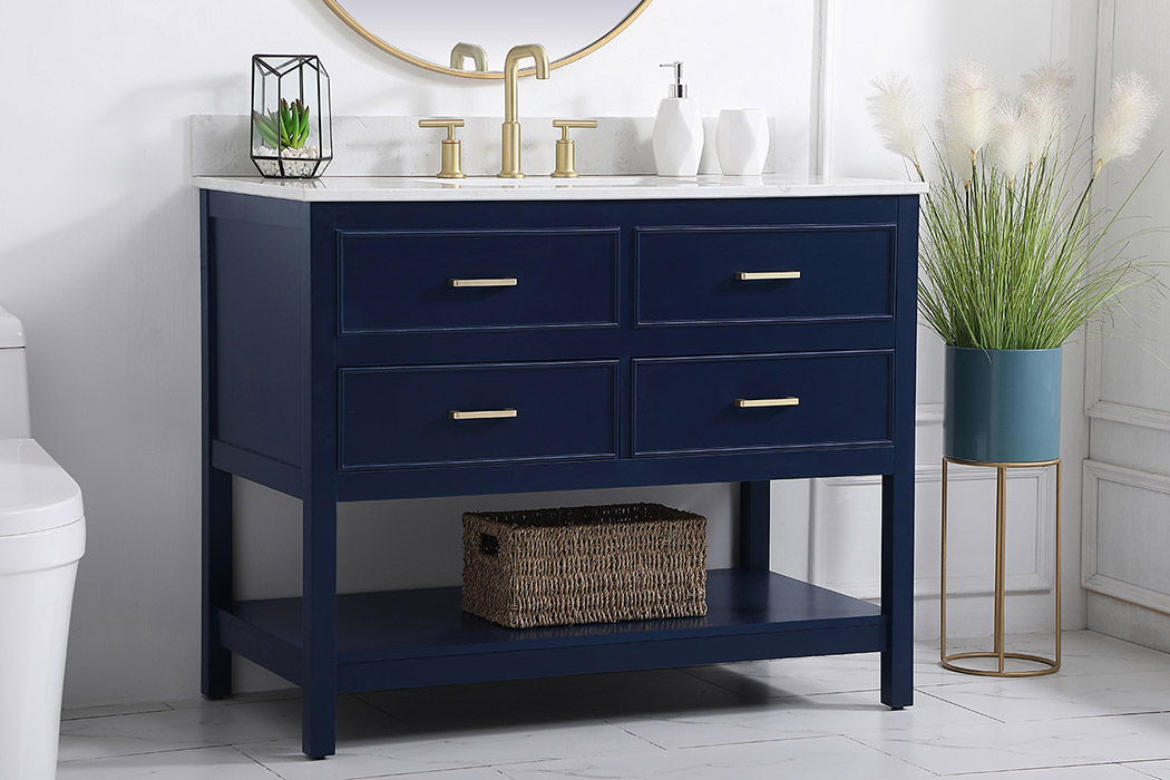 Elegant Bathroom Vanity - Blue (VF19042BL-BS)