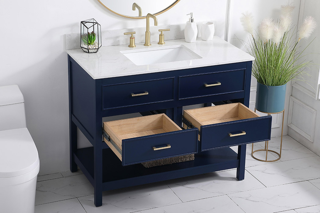 Elegant Bathroom Vanity - Blue (VF19042BL-BS)