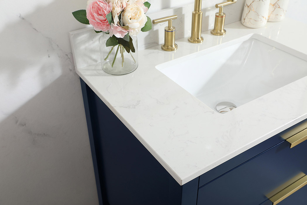 Elegant Bathroom Vanity - Blue (VF19230BL-BS)