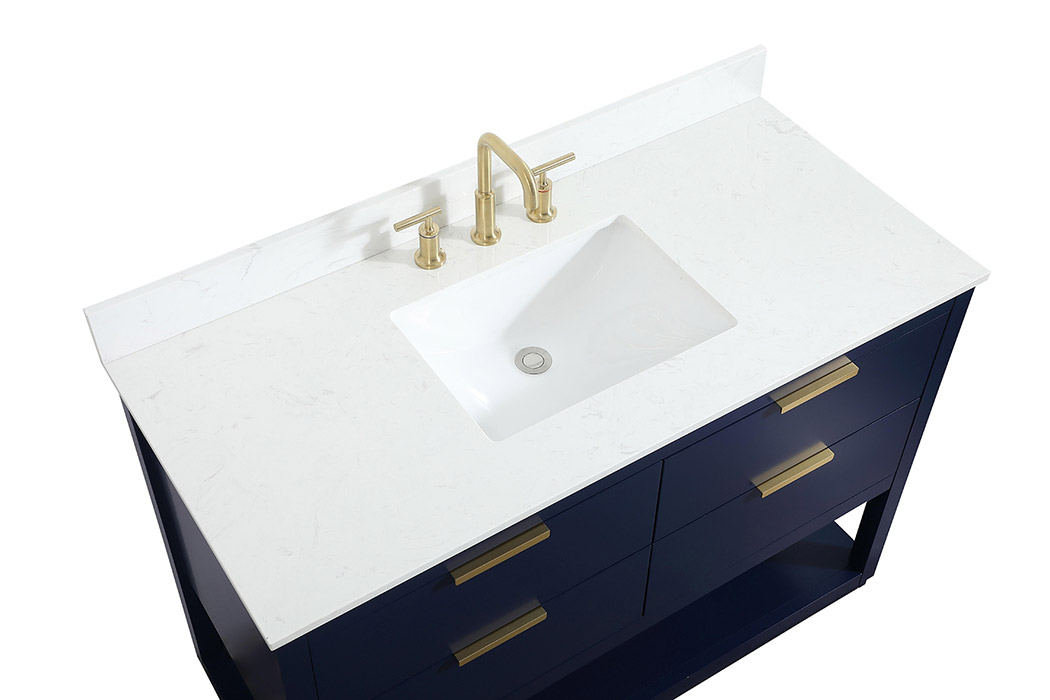 Elegant Bathroom Vanity - Blue (VF19248BL-BS)