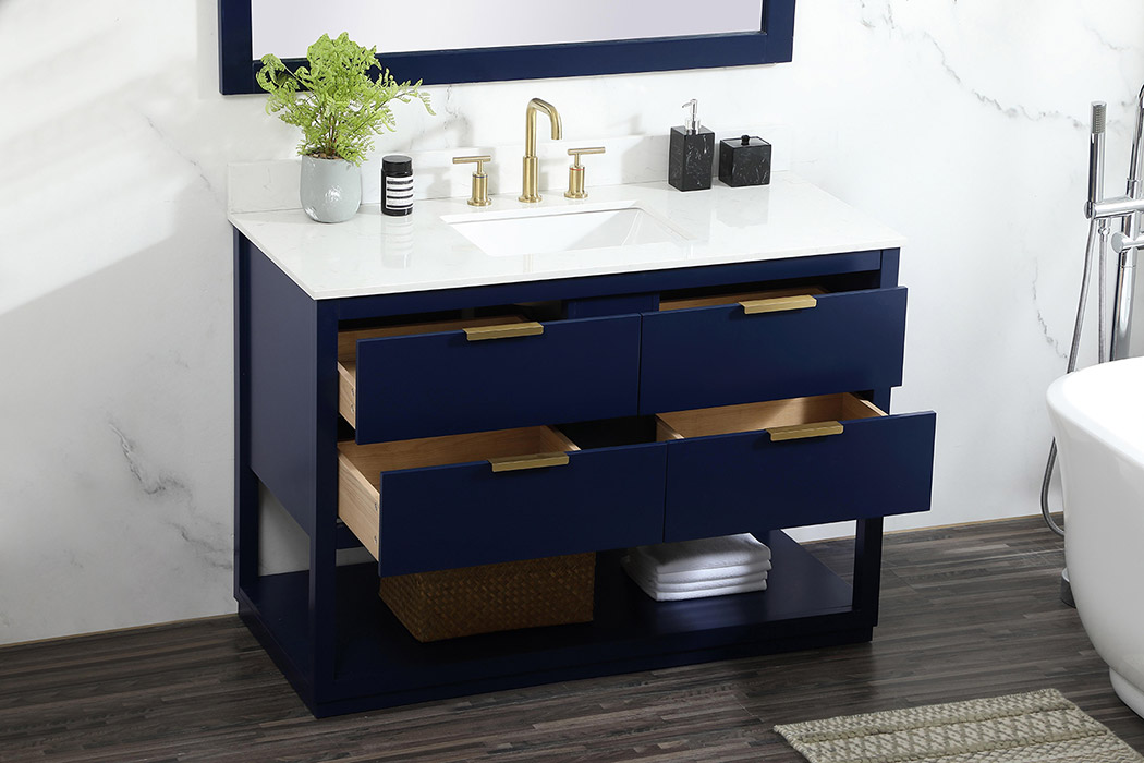 Elegant Bathroom Vanity - Blue (VF19248BL-BS)