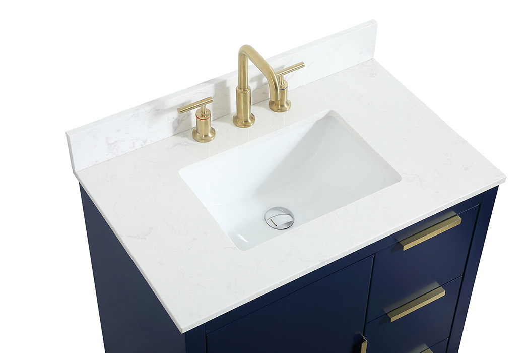 Elegant Bathroom Vanity - Blue (VF19430BL-BS)