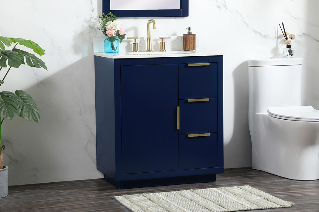 Elegant Bathroom Vanity - Blue (VF19430BL-BS)