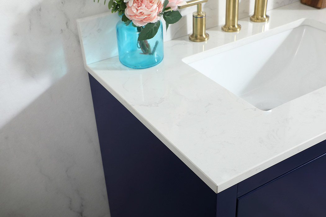 Elegant Bathroom Vanity - Blue (VF19430BL-BS)