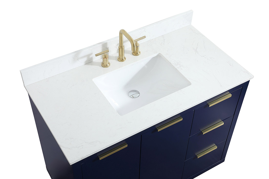 Elegant Bathroom Vanity - Blue (VF19442BL-BS)