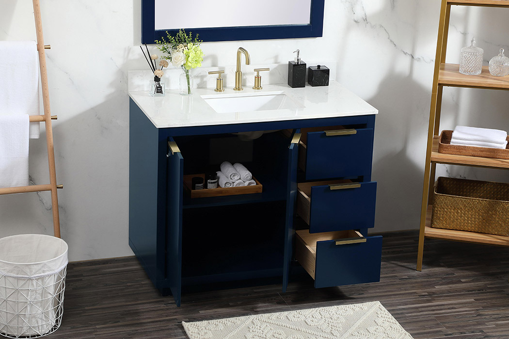 Elegant Bathroom Vanity - Blue (VF19442BL-BS)