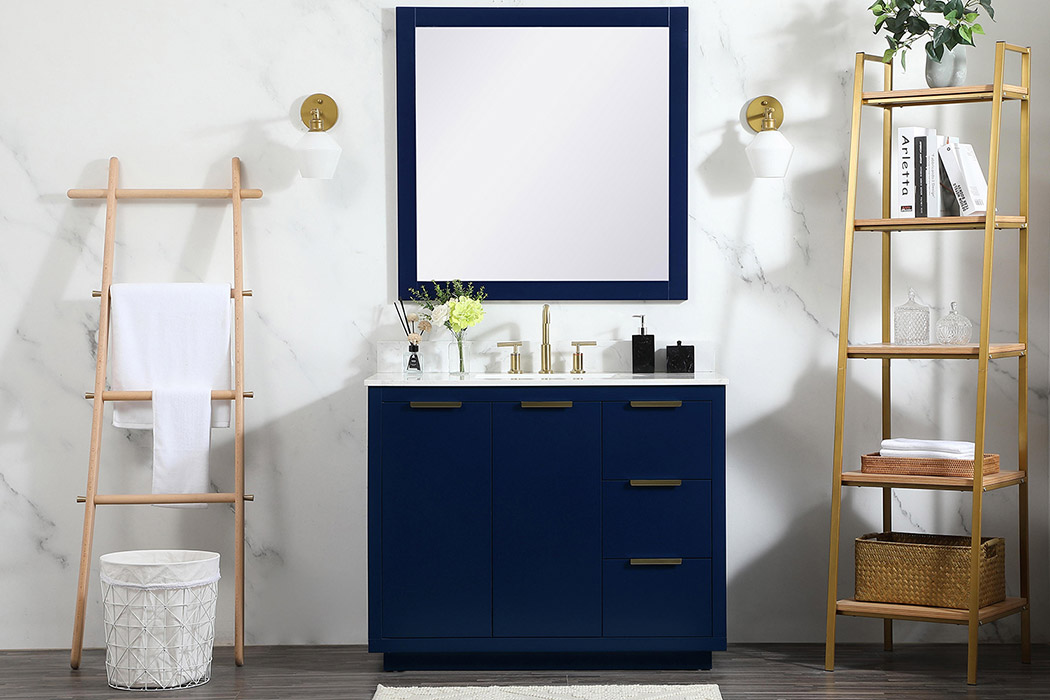 Elegant Bathroom Vanity - Blue (VF19442BL-BS)