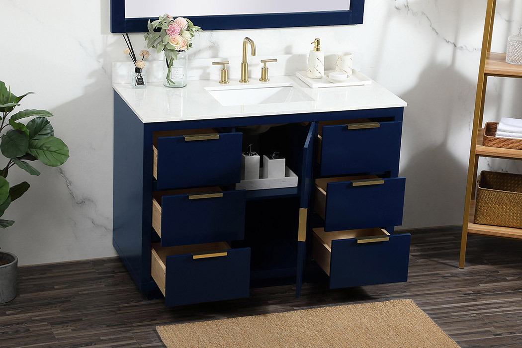 Elegant Bathroom Vanity - Blue (VF19448BL-BS)